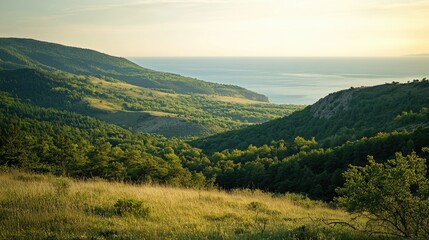 Obraz premium A serene landscape of the Black Sea coast, with rolling hills and dense forests.