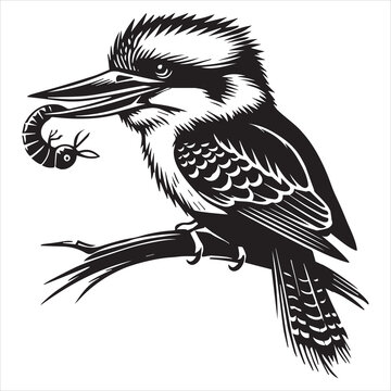 recommend clip art: Laughing Kookaburra Silhouette - Black and White Dacelo novaeguineae Vector