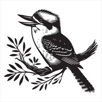recommend clip art: Simple Laughing Kookaburra Illustration - Black and White Bird Clipart
