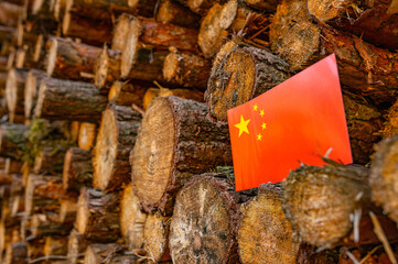 UN Climate Change Conference. China Deforestation. Ecological disaster, deforestation in Siberia...