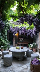 Fototapeta premium Bunches of grapes hanging over a table in a courtyard in china