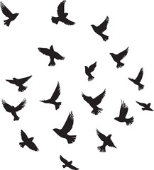 Set of black birds silhouette vector black birds