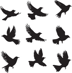 Set of black birds silhouette vector black birds