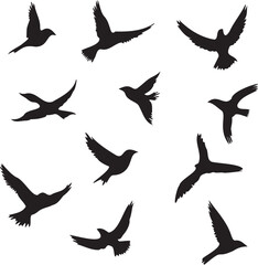 Set of black birds silhouette vector black birds