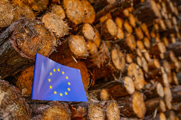 UN Climate Change Conference. EU Deforestation. Ecological disaster, deforestation in Europe. Felled pine trees. 2024