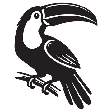 recommend clip art: Detailed Toco Toucan Vector - Black and White Bird Graphic