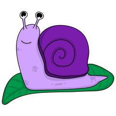 Vector illustration of a snail on a leaf