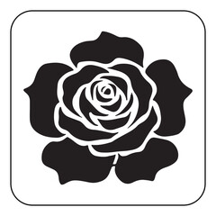 Vintage Flower Design with Classic Botanical Illustrations