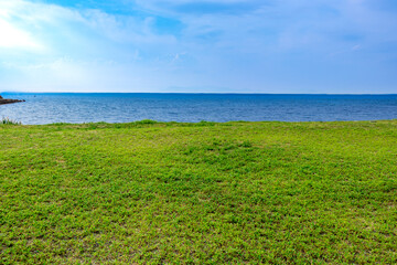 芝生が広がる水辺の公園