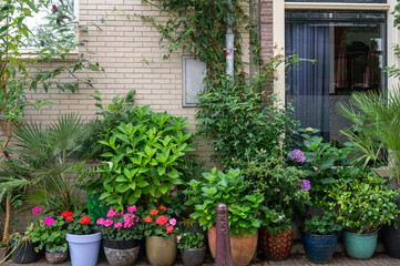 Collection of potted plants against a brick wall in a garden