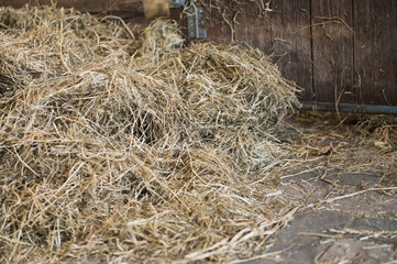 Pile of Hay in a Rustic Wooden Barn