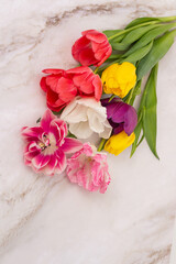 Assorted tulips and fringed pink flowers on marble background.