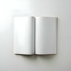Blank open magazine mockup with white pages.