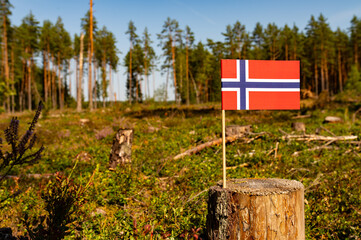 UN Climate Change Conference. Norway Deforestation. Ecological disaster, deforestation in Hedmark...