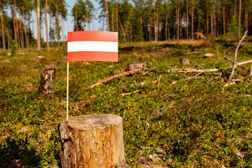 UN Climate Change Conference. Austria Deforestation. Ecological disaster, deforestation in Steiermark and Niederosterreich. 2024