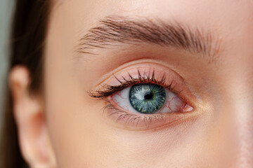 Obraz premium Close Up of Woman's Blue Eyes With Natural Makeup