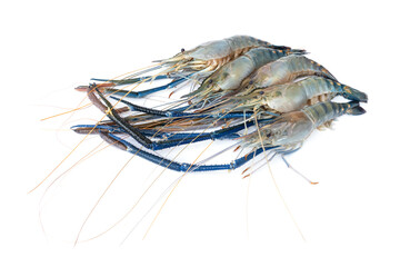 A group of Fresh giant river prawns - Macrobrachium rosenbergii arranged isolated on white background.