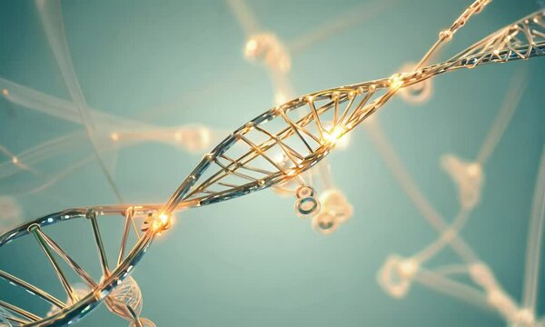 An animation of microRNAguided chromatin remodeling influencing gene expression. 4K Video