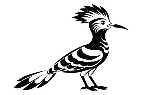 recommend clip art: Hoopoe black and white silhouette D.eps
