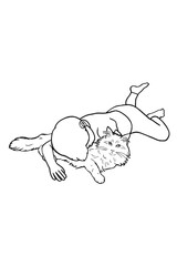 Siberian cat illustration line drawing