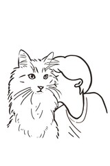 Siberian cat illustration line drawing
