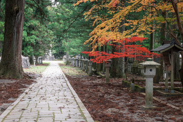 Detalle del cementerio budista de Koyasan en Japón.