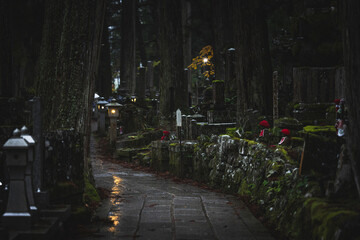 Detalle del cementerio budista de Koyasan en Japón.