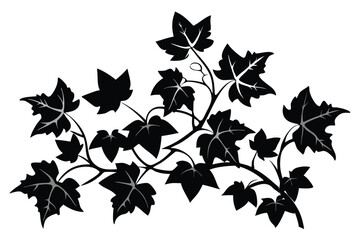 ivy clean color silhouette vector illustration J.eps