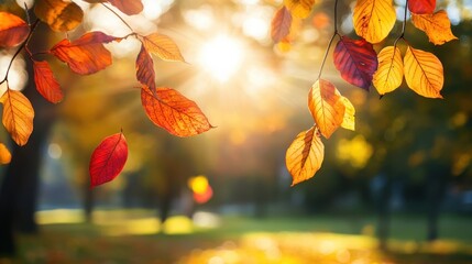 Orange foliage filling the frame, with the rich