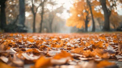 Orange leaves scattered on the ground in a park, with the texture and depth