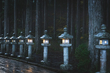 Detalle del cementerio budista de Koyasan en Japón.