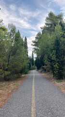  Road in the forest, going into the distance. Pedestrian road in Gorica Park, in Podgorica, Montenegro. High quality photo