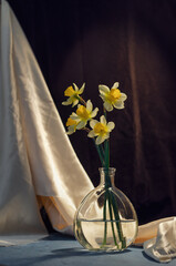 A bouquet of daffodils in a glass jug on a dark background