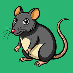 Colorful rat image abstract art colorful background nice image.