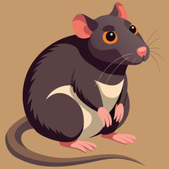 Colorful rat image abstract art colorful background nice image.