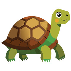 Colorful tortoise image abstract art colorful background nice image.