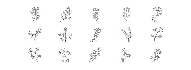 Hand Drawn Flower Vector art illustration isolated transparent background