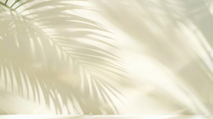 Obraz premium Embrace the warmth of summer and spring with this minimalist and inviting background, perfect for showcasing your products in a natural and refined setting.