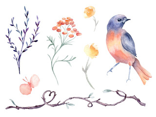 Bird orange and purple, vine branch form heart hand drawn watercolor isolated set. Bluebird, butterfly with flower and twig in botanical sketch hand drawn. Floral elements and bird for Valentine.