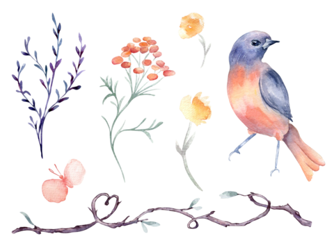 Bird orange and purple, vine branch form heart hand drawn watercolor isolated set. Bluebird, butterfly with flower and twig in botanical sketch hand drawn. Floral elements and bird for Valentine.