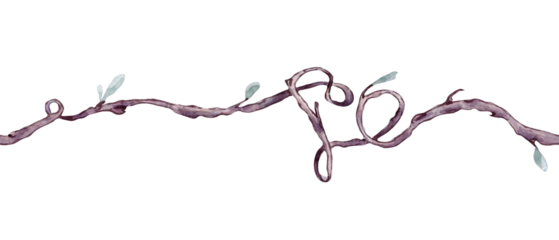 Vine of heart shape watercolor seamless banner isolated. Romantic branch with delicate green leaves on repeating border hand drawn. Elements for natural designs, Valentine day, rustic wedding