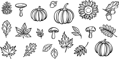Autumn line art doodle elements, hand drawn leaf illustrations, isolated