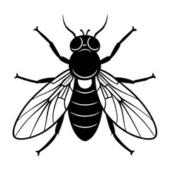          Fly logo icon vector illustration.

