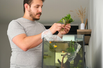 Man cleaning aquarium and placing new plants inside
