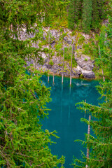 Sunken forest of Lake Kaindy in Kazakhstan. Beautiful mountain natural landscape. A blue lake with tree trunks sticking out of it. Panoramic view of the reserve.