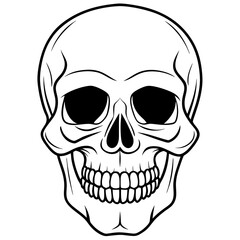 Fototapeta premium vector illustration of skull