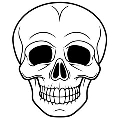 Fototapeta premium vector illustration of skull