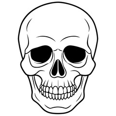 Fototapeta premium vector illustration of skull