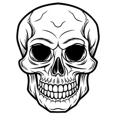 Fototapeta premium vector illustration of skull