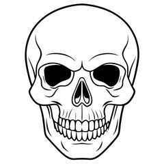 Fototapeta premium vector illustration of skull